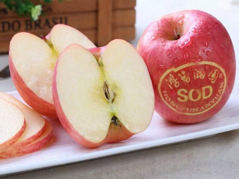 鸿福满园sod苹果—神奇的长生不老果