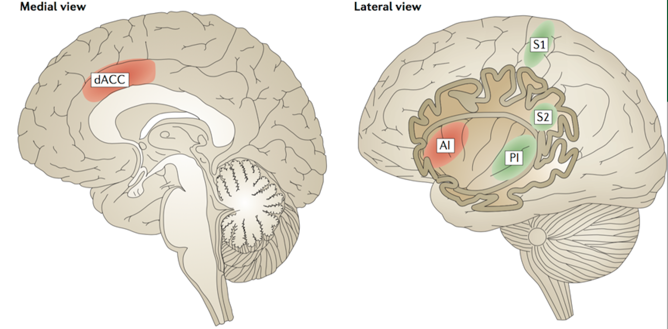 为什么难过的时候心真的会痛?