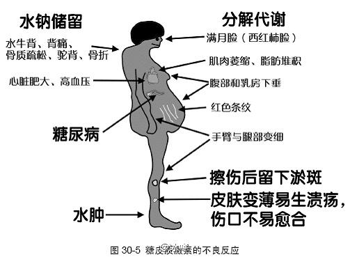 71eca7d36727ba283038f81f77ee4005_r.jpg
