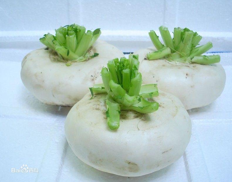 有哪些家乡很常见但外地没有的蔬菜呢?