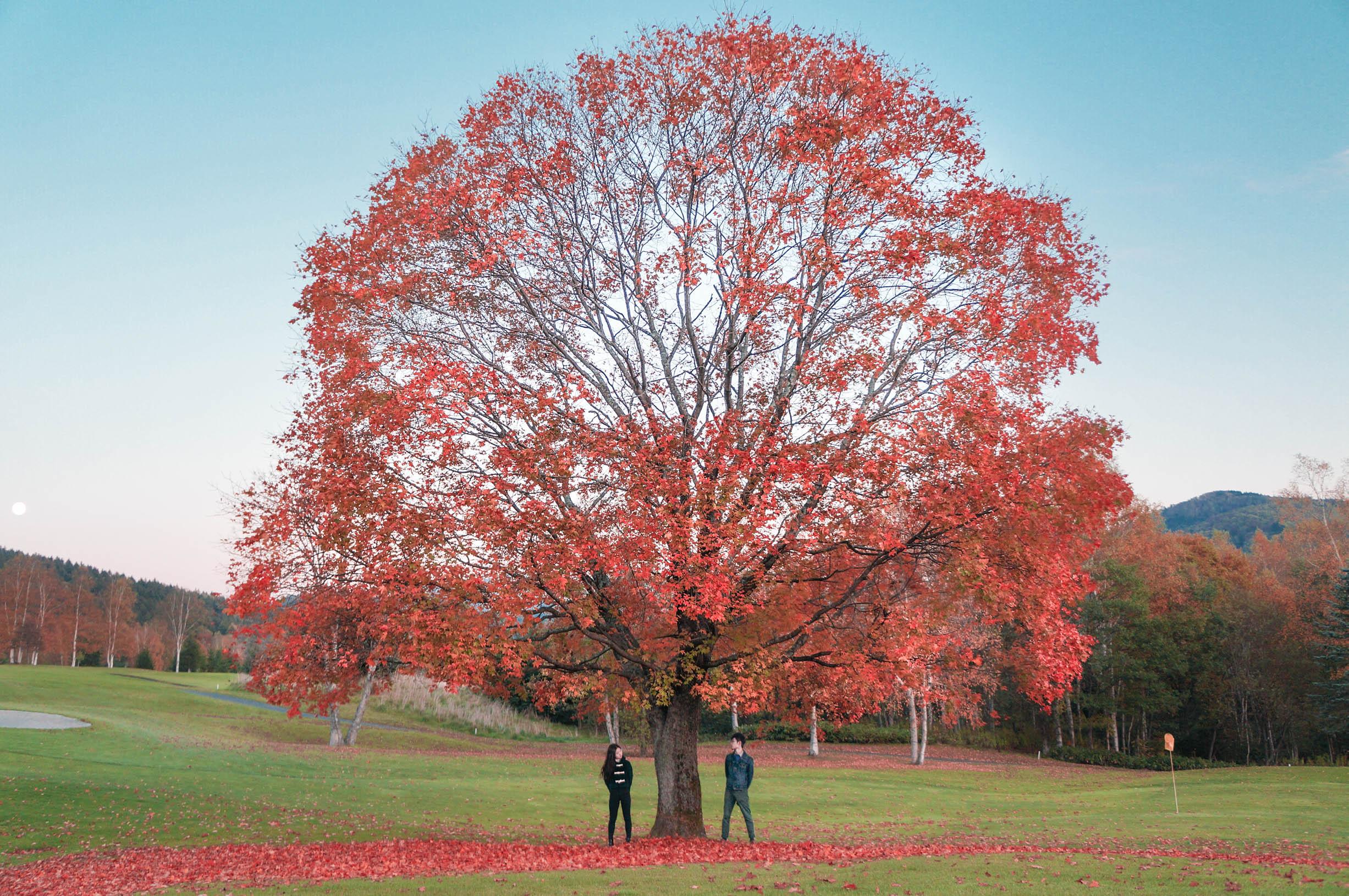 论 如何自拍好看-无棣方圆网