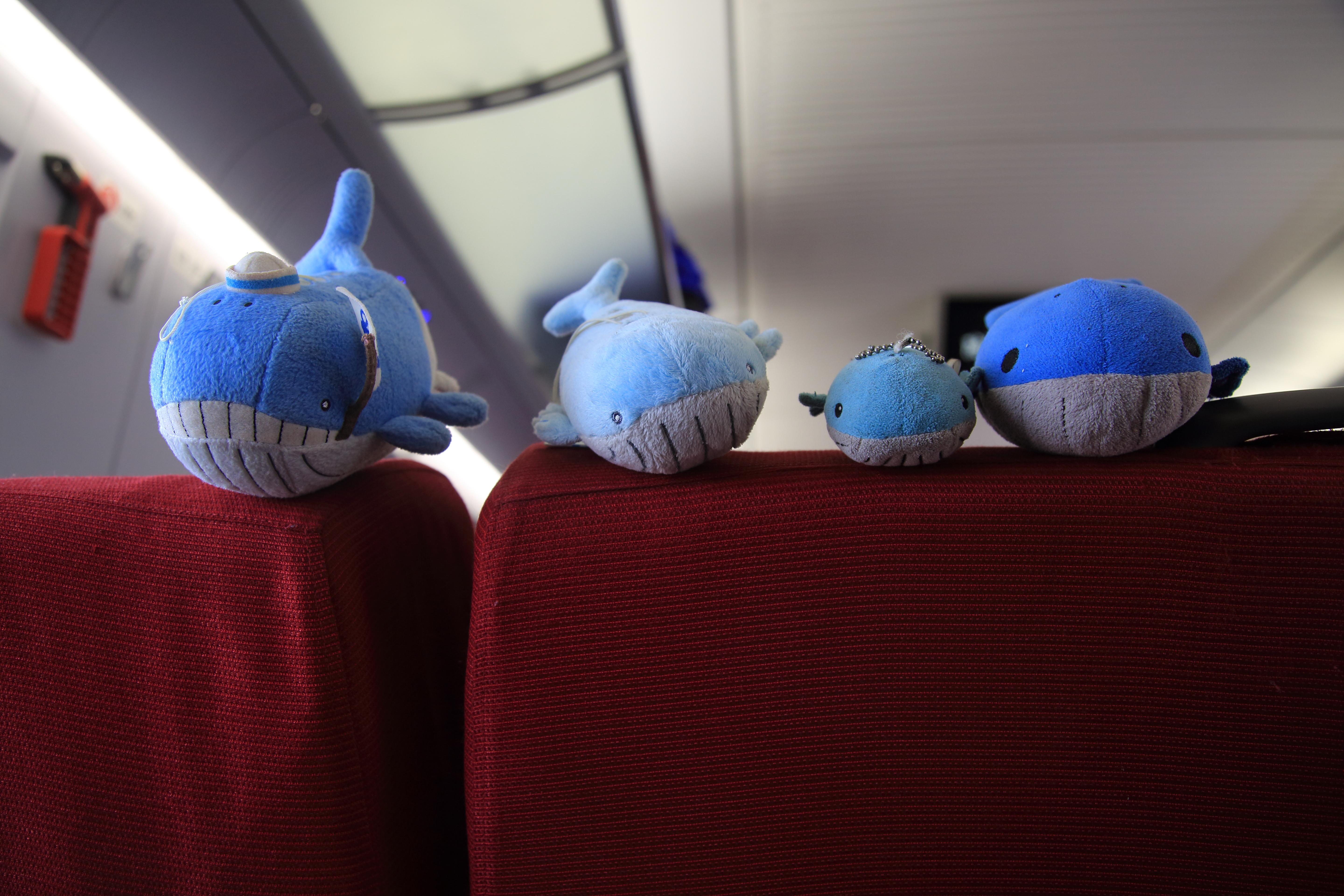 如何评价大鱼海棠周边? - 毛茸茸的吼鲸王的回