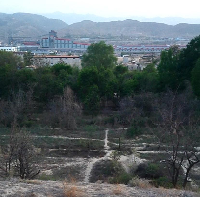 如何成为一名风水师,怎样入门,学习历程是怎样