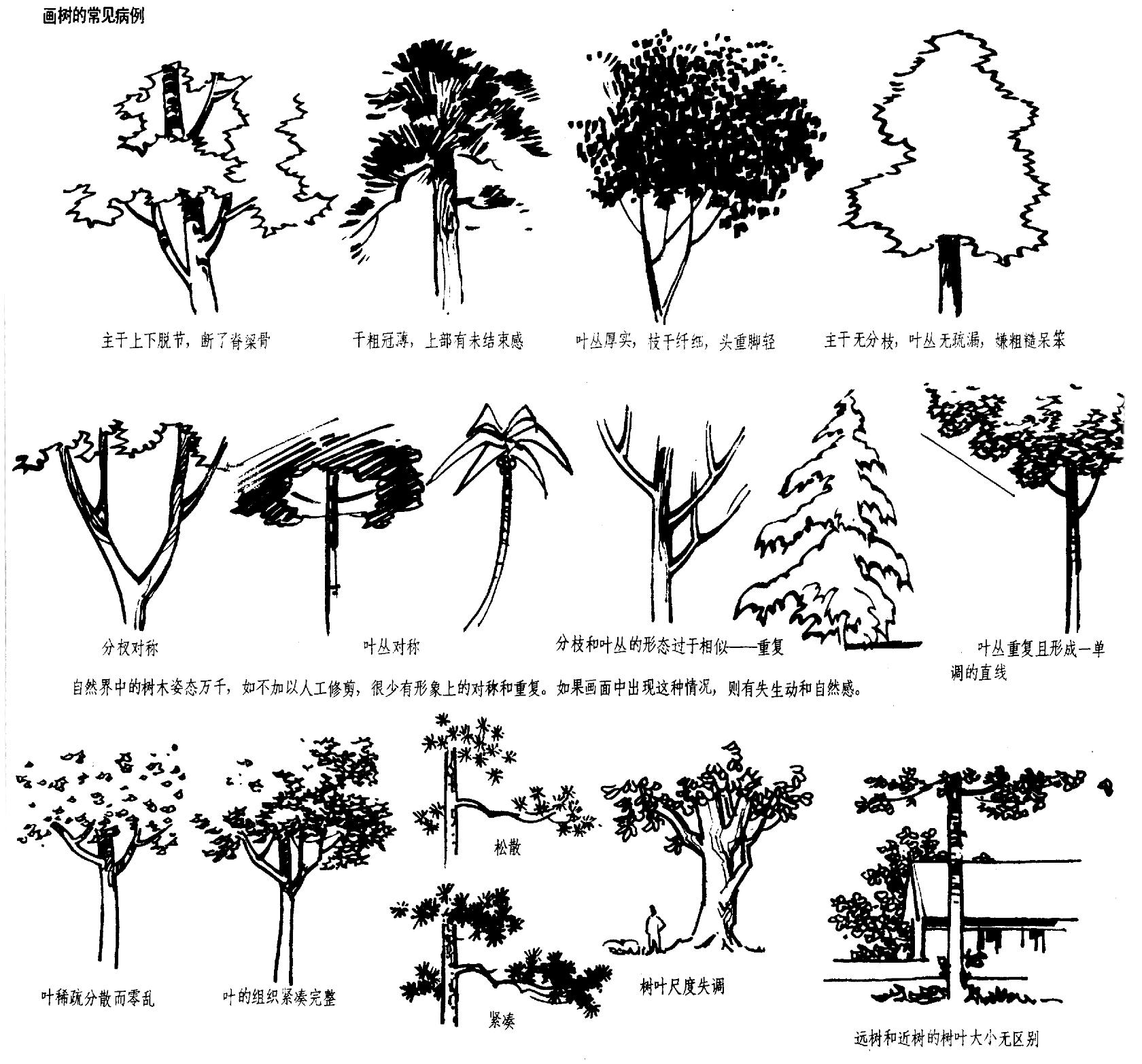 手绘树图片素材免费下载 - 觅知网