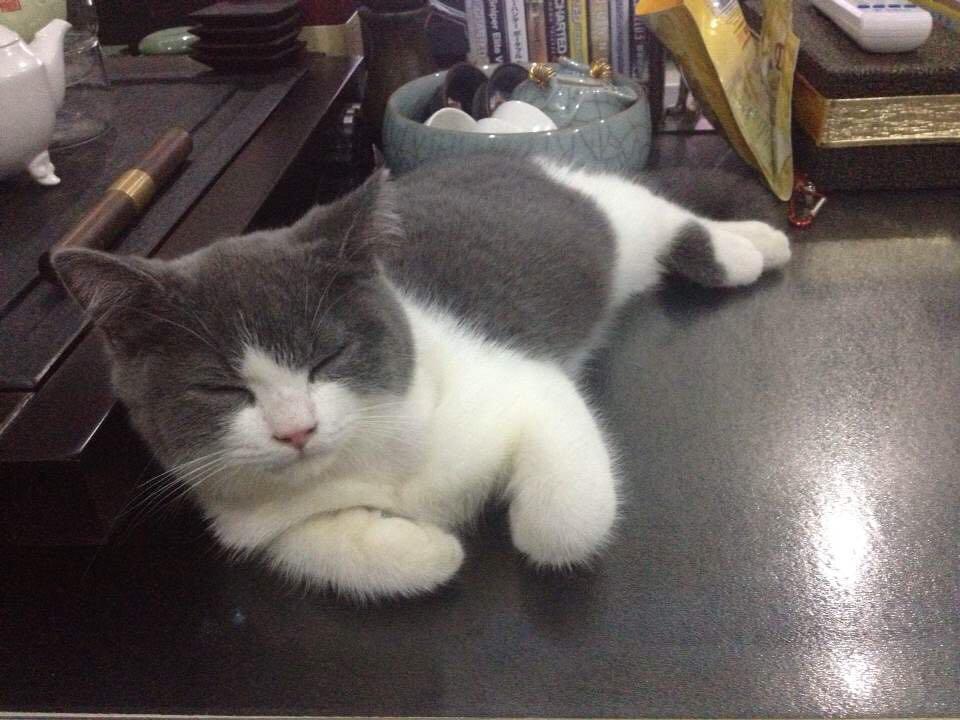 游戏公司老板让员工跳广场舞怎么办? - 潆潆一