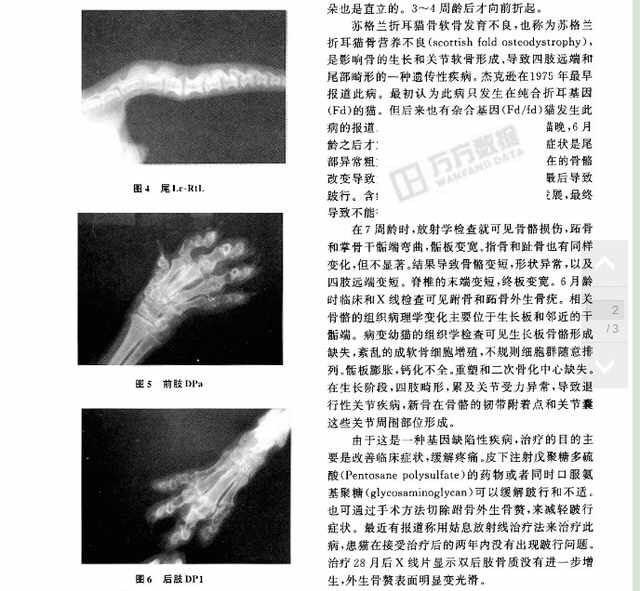 怎么看待网友们喷回忆专用小<em>马甲</em>的折耳猫<em>端午</em>
