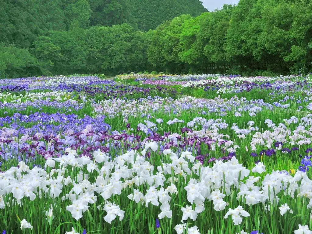 花名册 那水面有你未得的宝剑 知乎