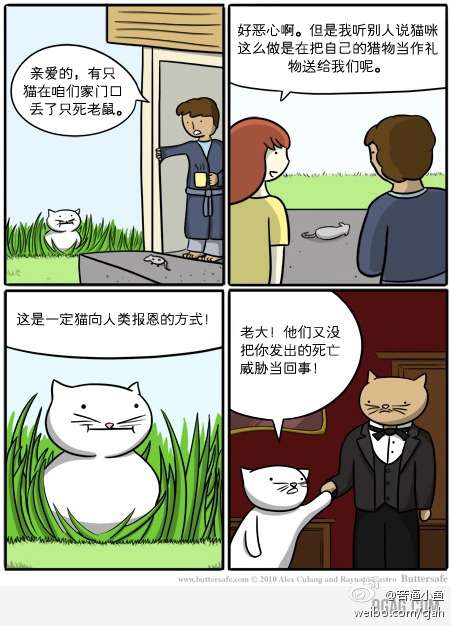 微博上关于猫报恩的故事,动物「报恩」这种理由是否是人类一厢情愿的