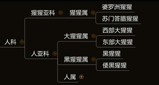 人类起源的大致过程是什么 知乎