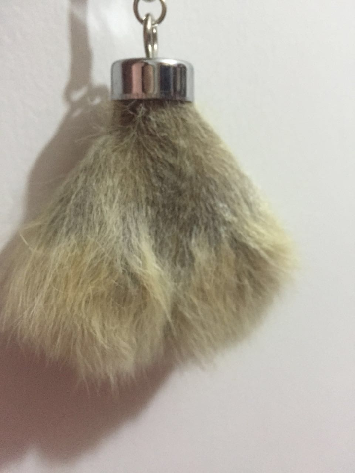 摸袋鼠的睾丸是怎样的体验