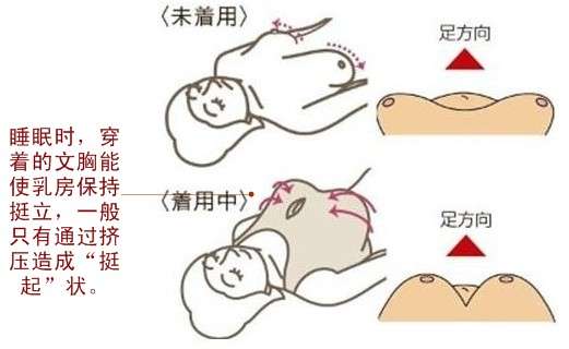 有什么好的睡眠文胸?