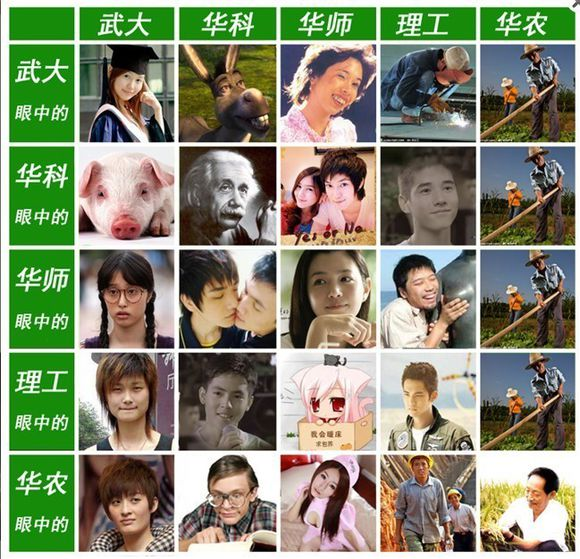 武大,华科,武理,华师,中南财大,华农,地大,民大的女生的性格和气质各