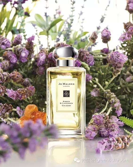 咦 你闻起来 像春天 知乎