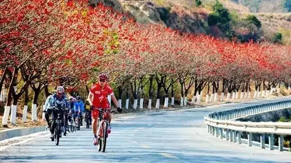 攀枝花，绽放的旅游之花