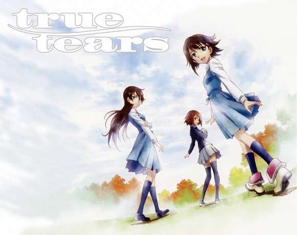 动画考察5 怀旧的文法 动画脚本家冈田麿里所描绘的自然 True Tears 龙与虎 Simoun 放浪息子 那朵花 知乎