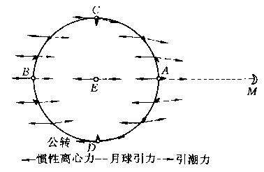 潮汐的成因是什麼為什麼每個地方的潮汐各不相同