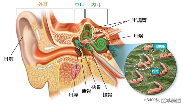 打哈欠耳膜疼!怎麼回事?