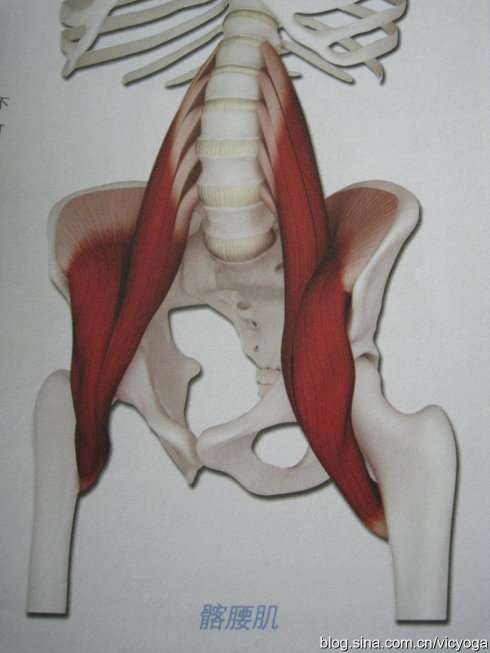练习完硬拉尾椎很酸正常吗