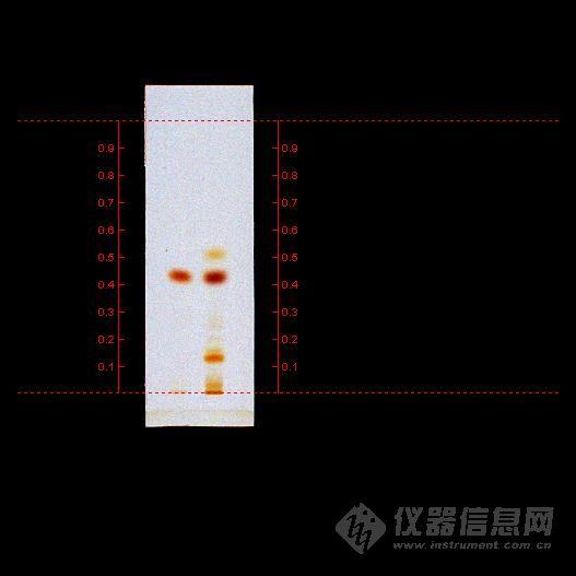 工作被效率更高的机器抢了是什么体验