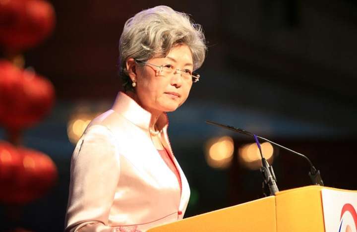 最美女外交官——傅莹.(图片系下载,侵删)