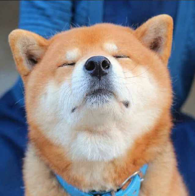 我在学校摆点的办理了一张银行卡后,工作人员给我