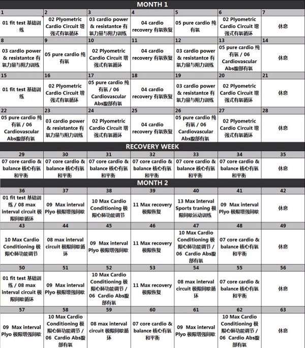 这是insanity的课表!说明训练系统的话一个星期一天休息也是可以的!