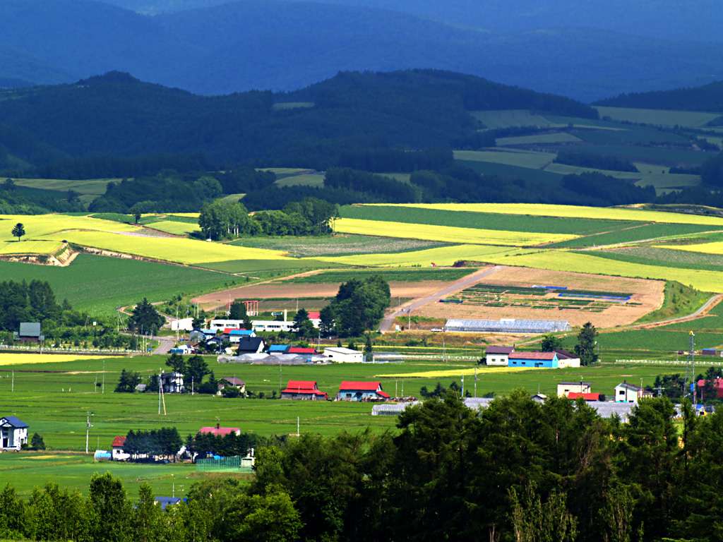 北海道 带你去看广袤的原野 知乎