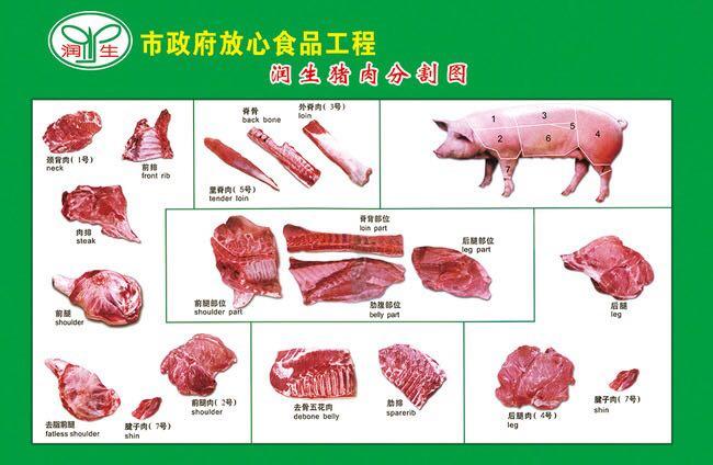 肉类大全名称图片