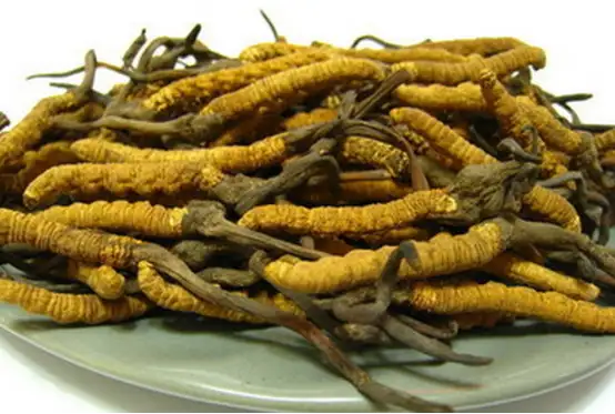 图片[15]-想要男人更强更持久？这些东西少不了-猫匿