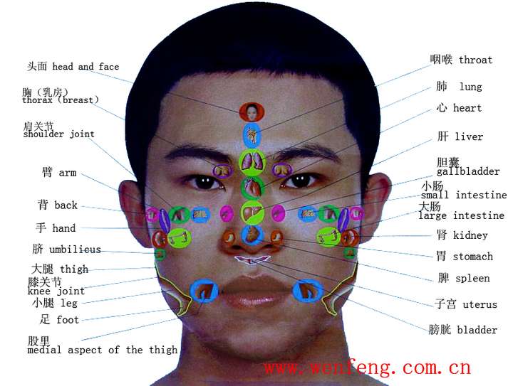下巴的两边,脸颊下面总是起闭合粉刺,发炎挤掉后依旧反复,这是什么