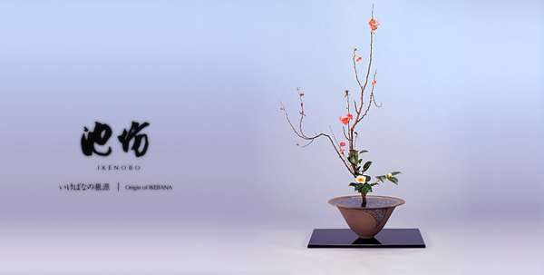 如何学习插花 知乎 如何学习插花 知乎