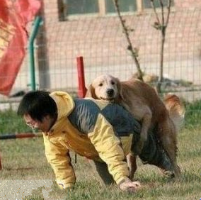 为什么说男人不能养猫,女人不能养狗? - 知乎