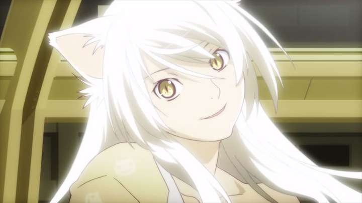 什么样的猫你愿意让它上床?