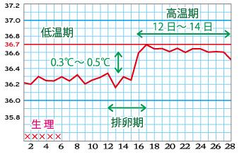 女孩应该知道的妇科常识有哪些 知乎