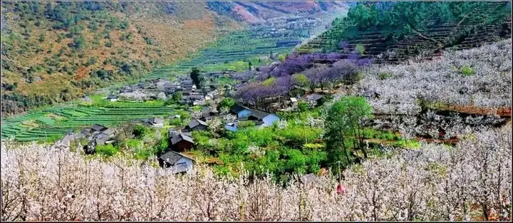 攀枝花，绽放的旅游之花