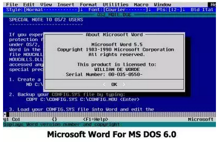 MS-DOS时代的MS Office