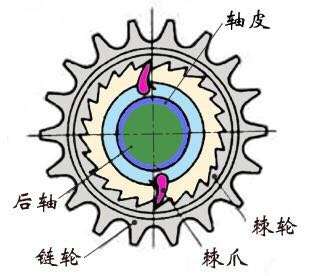 自行车惯性滑行时候的齿轮杂音是怎样来的?
