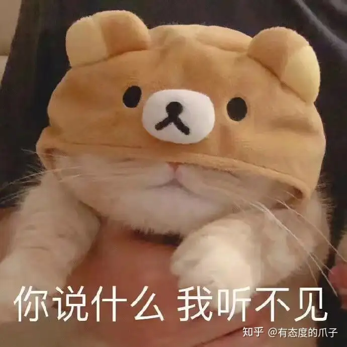 你家的猫粮够格吗 带你解读成分 成就金玉 粮 缘 知乎