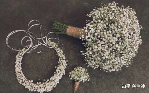 送花千万别送错 每个星座都有自己的幸运花 知乎