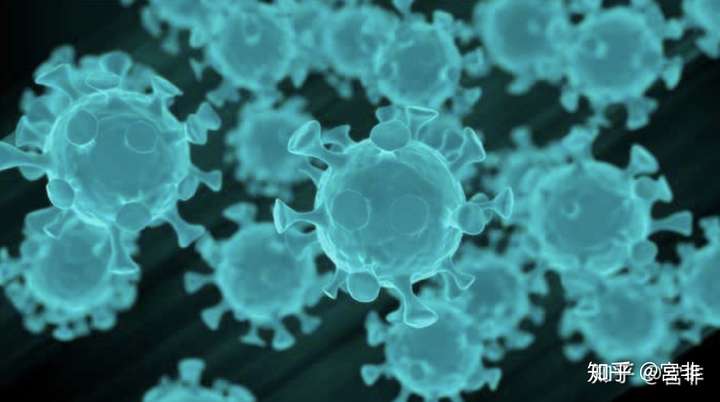 新型冠状病毒的主要传播途径是"飞沫传播",也就是说打喷嚏咳嗽说话