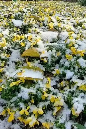 二分明月忆扬州｜扬州散记