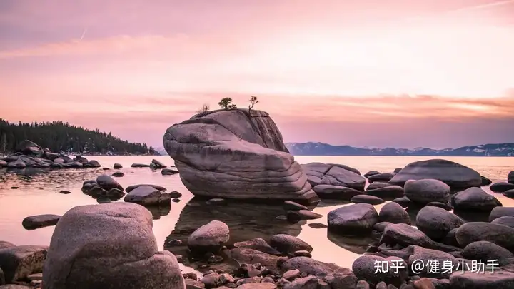 豆芽机哪个牌子好，豆芽机十大品牌推荐