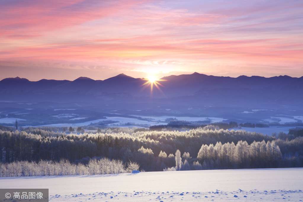 寒江雪柳 玉树琼花 此生必看 知乎