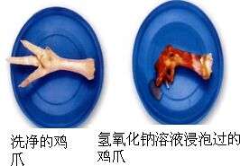 用氢氧化钠洗盘子和内衣是不是一个好主意
