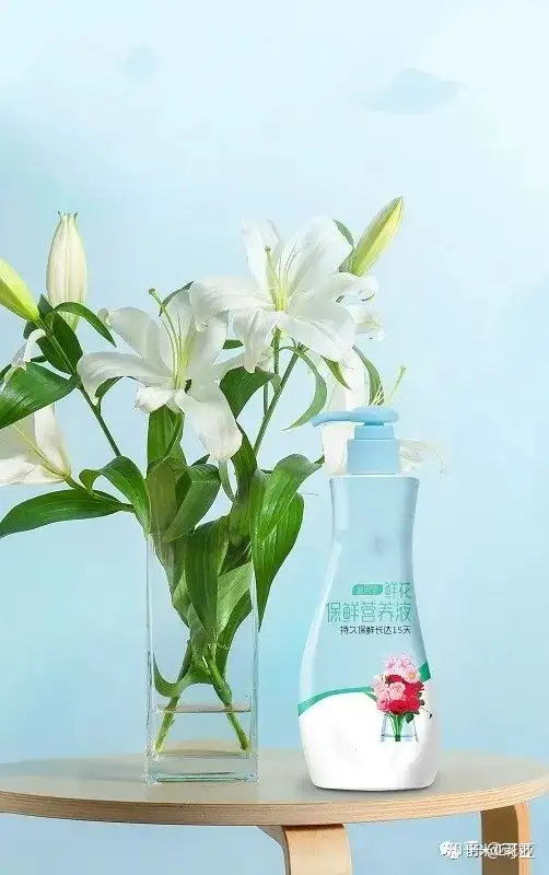 花材日常养护小知识 知乎 花材日常养护小知识 知乎