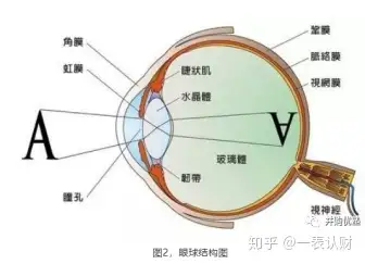 挖掘N倍股第二篇--欧普康视财务分析（有机会翻倍的股票）