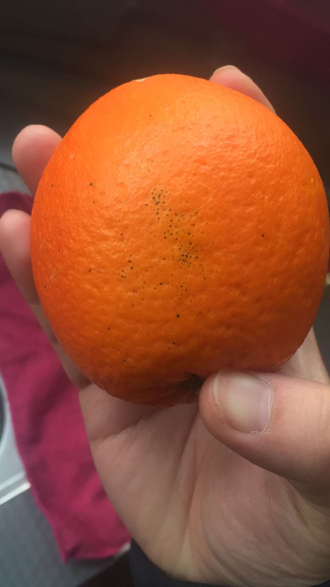 十万个不知道 的想法: 请问,橙子皮有这样的黑点,是坏了吗,切