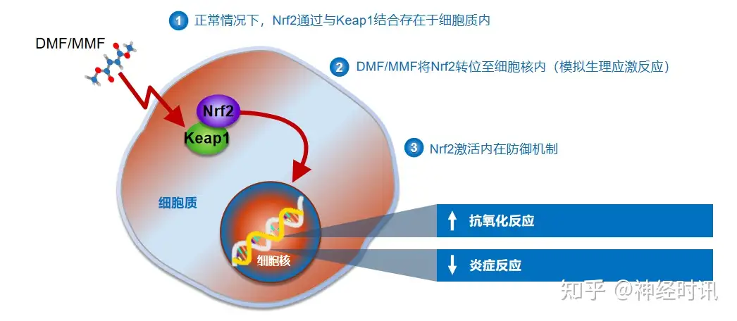 最新発見 SF療法 スポーツ/フィットネス - loppianoseguranca.com.br