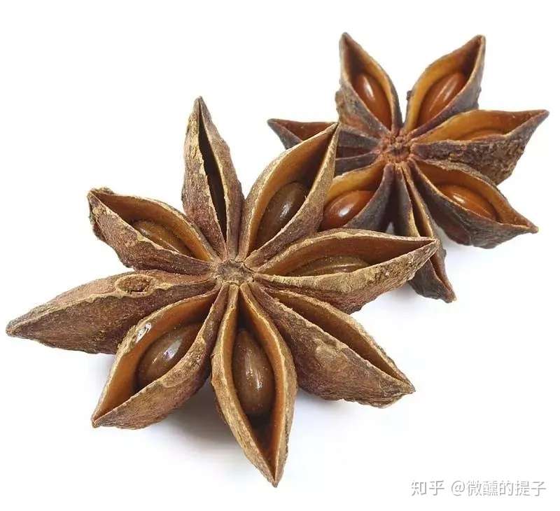 12种天然香料与那些美食 你都吃过么 知乎