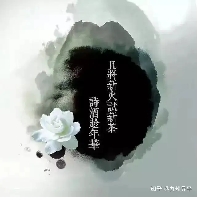 且将新火试新茶，诗酒趁年华- 知乎